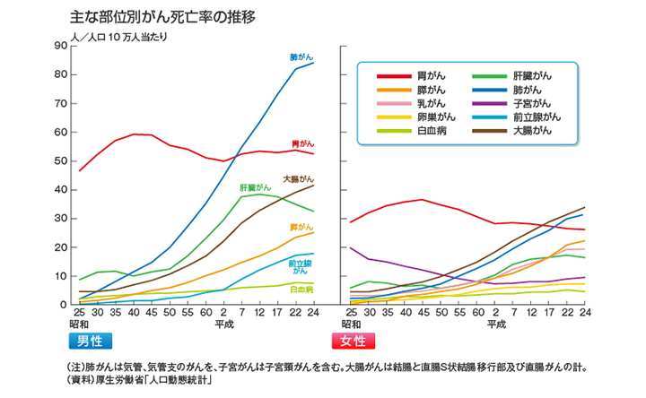 主な部位別がん死亡率の推移