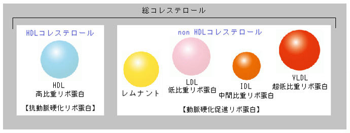 non-HDLコレステロールを式で表すと